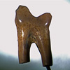 Thumbnail image of therian mammal tooth