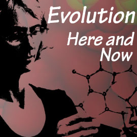 Evolution: Here and Now