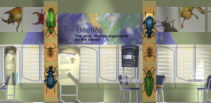 Beetles Exhibit Rendering