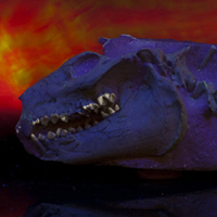 Image of fossil oreodont skull fluorescing purple under UV light, with teeth a different color