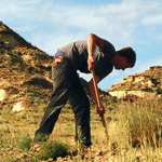 Thumbnail image of John Hankla doing paleontological fieldwork