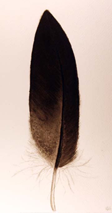 Painting of feather