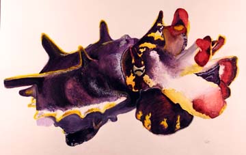 Painting of cuttlefish