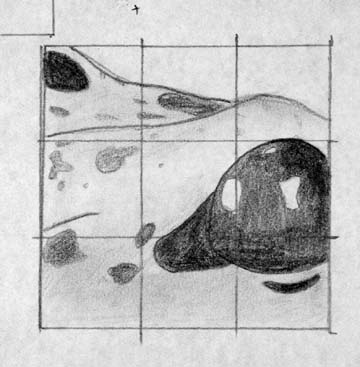 Drawing of frog's eye