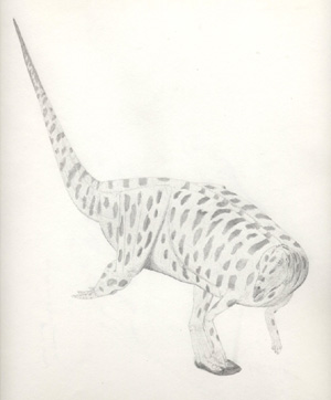 Image of Thescelosaurus neglectus