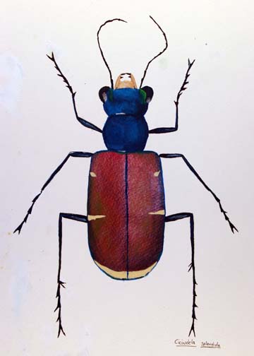 Painting of beetle