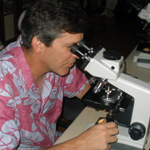 Thumbnail image of curator Pat Kociolek using a microscope