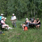 Image entomology class in the field