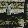 Thumbnail image of glass slide from Chichen Itza