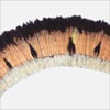 Thumbnail image of flicker feather headdress