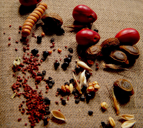 Photo of seeds