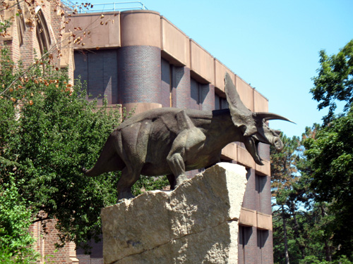 Photo of Triceratops statue in front of Yale Peabody Museum of Natural History