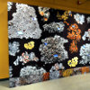Lichen Wall by Casey Cass