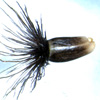 Thumbnail image of knapweed seeds