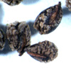 Thumbnail image of bee plant seeds