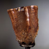 Thumbnail image of baby hadrosaur tooth