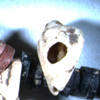 Thumbnail image of Cretaceous amber