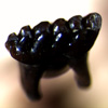 Thumbnail image of multituberculate mammal tooth