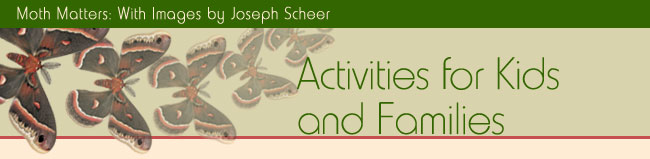 Moth Matters Exhibit - Activities for Kids and Families