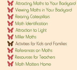 Moth Matters Exhibit Navigational Menu