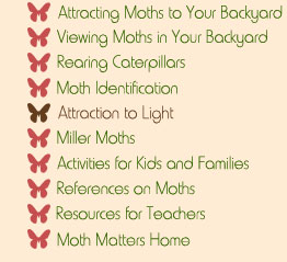 Moth Matters Exhibit Navigational Menu
