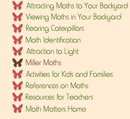 Moth Matters Exhibit Navigational Menu