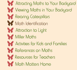 Moth Matters Exhibit Navigational Menu