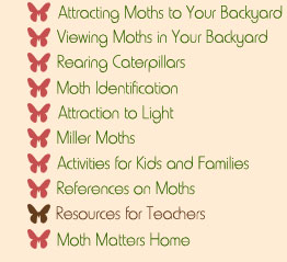 Moth Matters Exhibit Navigational Menu