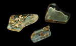 Image of copal with inclusions