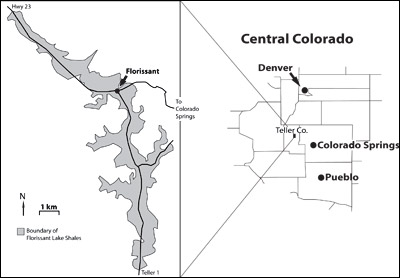 map of the Florissant fossil beds