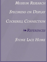 Stone Lace Navigational Menu