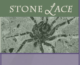 Stone Lace