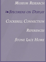 Stone Lace Navigational Menu