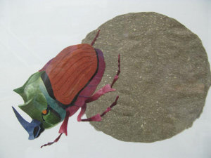 Dung Beetle photo