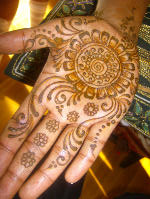 henna palm