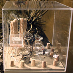 Thumbnail image of exhibit put together by museum club