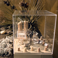Thumbnail image of part of Harvester Ants vitrine showing small objects collected by ants