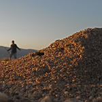 Image of anthill and MFS student in background