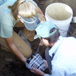 Image of anthropologists excavating a ceramic pot