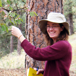 Image of MFS student looking at a tree