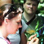 Zoology students in the field