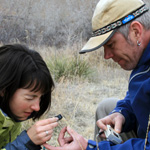 Thumbnail image of two entomology students examining a grasshopper with a hand lens