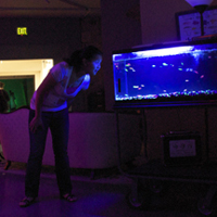 Image of a female student looking at a fishtank with genetically modified fluorescent fish
