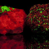 Image of two rocks fluorescing red and green under UV light