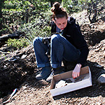 Image of MFS student collecting fossils in the field