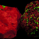 Thumbnail image of rocks glowing under UV light at GLOW SHOW event
