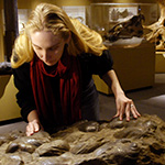 Image of female student touching mollusc fossils in the Paleontology Hall