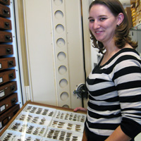 Photo of Crystal Boyd in entomology collections. She is holding a drawer of grasshopper specimens
