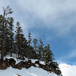 Image of conifer trees and snow on a hill in Rocky Mountain National Park