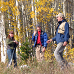 Image of zoology and Museum Studies students in an aspen grove